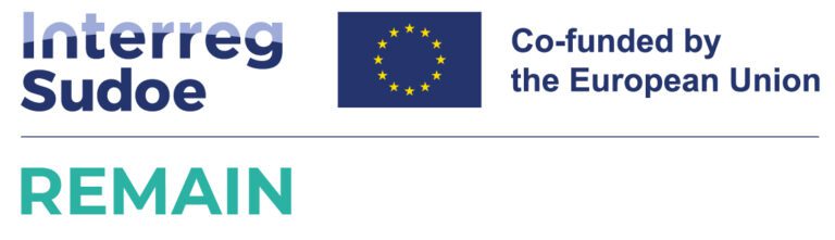 Logo Remain